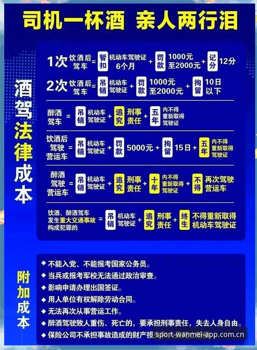 世界杯观赛必备知识：签证危机与赛事体验的深层剖析