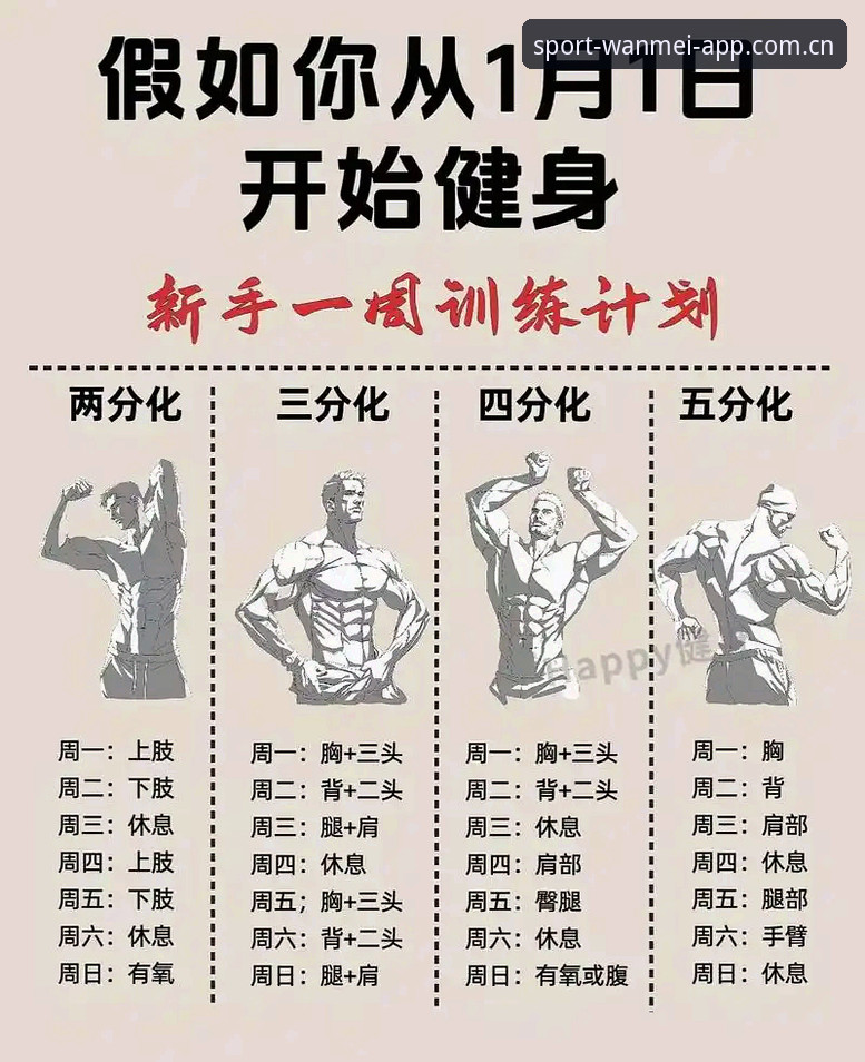 最新完美体育快速上手完整指南：从下载到畅玩的每一步